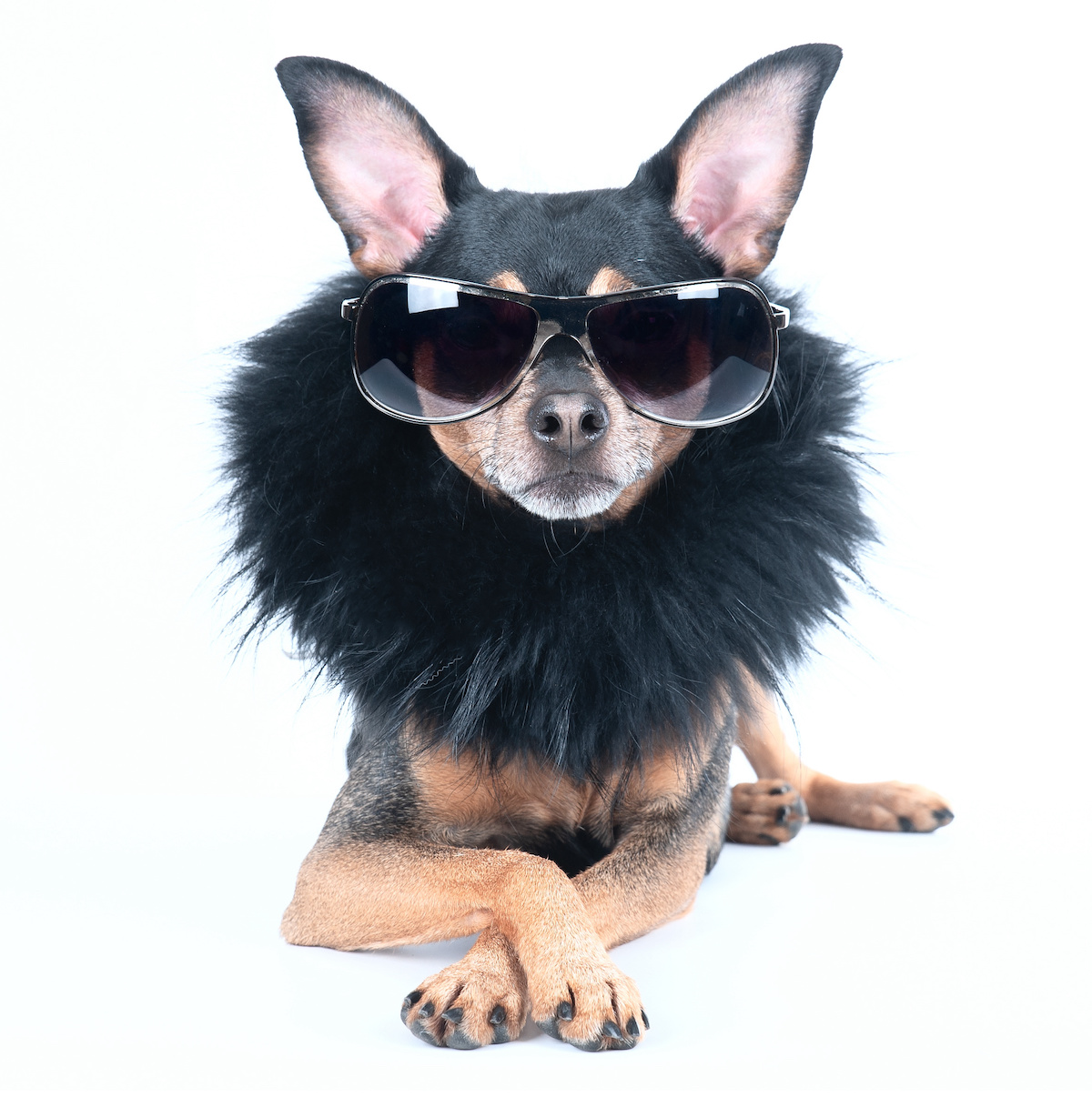 AdobeStock 303460361 copy